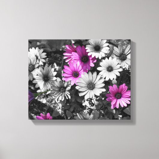 紫アフリカデイジー花部分色 キャンバスプリント (正面)