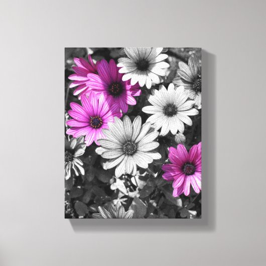 紫アフリカデイジー花部分色 キャンバスプリント (正面)