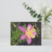 紫アラスカンの花 ポストカード (スタンド正面)