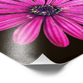 紫ア独身のフリカデイジー花8x8 フォトプリント            (角)