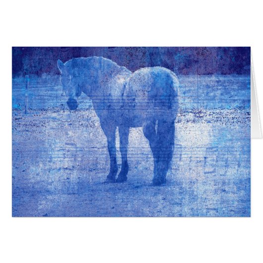 紫ウマ科の (正面横)