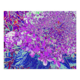 紫エレガントと青のライムライトアジサイ ポスター