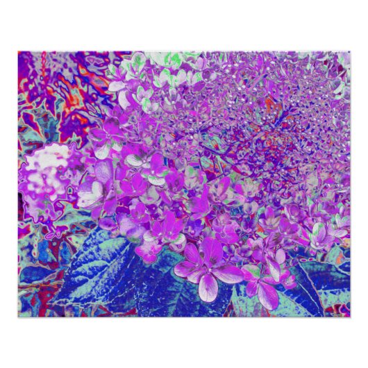 紫エレガントと青のライムライトアジサイ ポスター (正面)