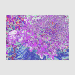 紫エレガントと青のライムライトアジサイ 薄葉紙