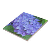紫エレガントアジサイ タイル (側面)