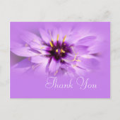紫エレガントデイジー花感謝してい葉書。 ポストカード (正面)