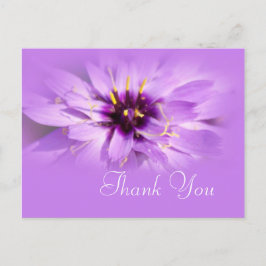 紫エレガントデイジー花感謝してい葉書。 ポストカード