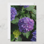 紫エレガントピンクフローラアジサイブライダルシャワー 招待状 (裏面)