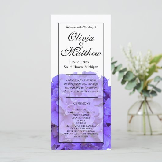 紫エレガントフローラアジサイ (スタンド正面)