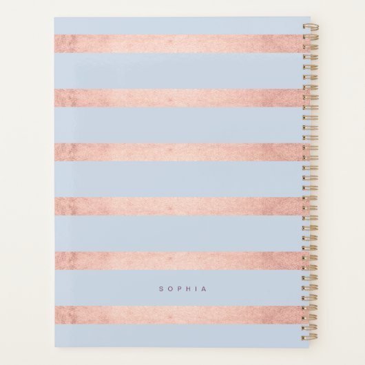 紫エレガント水色花模様バラ金ゴールドストライプ プランナー手帳 (裏面)