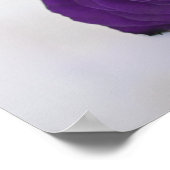 紫エレガント王室のバラ23表の座席表 ポスター (角)