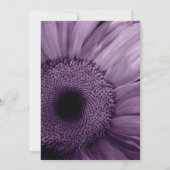 紫ガーベラデイジー結婚式招待状 招待状 (裏面)