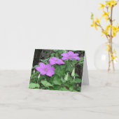 紫クレマチス カード (黄色い花)