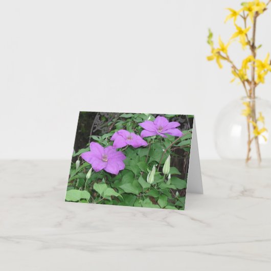 紫クレマチス カード (黄色い花)