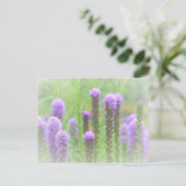 紫スパイクフローラ ポストカード (スタンド正面)