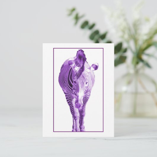 紫ゼブラ ポストカード (スタンド正面)