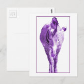 紫ゼブラ ポストカード (正面/裏面)