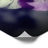 紫ゼラニウム花部分色 ポスター (角)