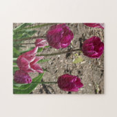 紫チューリップ ジグソーパズル (横)