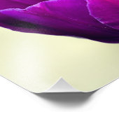 紫チューリップ フォトプリント            (角)