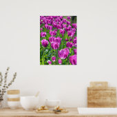 紫チューリップ ポスター (キッチン)