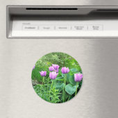 紫チューリップ マグネット (インサイチュ (食洗機))