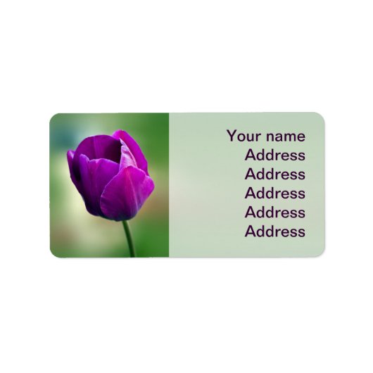 紫チューリップ ラベル (正面)