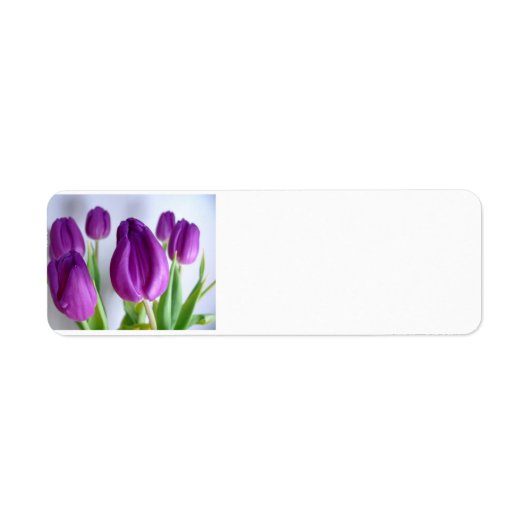 紫チューリップ ラベル (正面)
