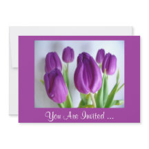 紫チューリップ