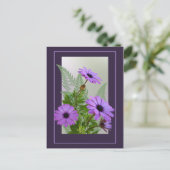 紫デイジーはがき – TBA ポストカード (スタンド正面)