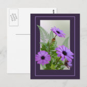 紫デイジーはがき – TBA ポストカード (正面/裏面)