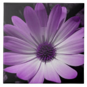 紫デイジー花瓦 タイル (正面)