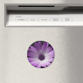 紫デイジー花磁石 マグネット (インサイチュ (食洗機))