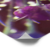 紫ネギの雨粒フラワーマクロ抽象芸術 ポスター (角)