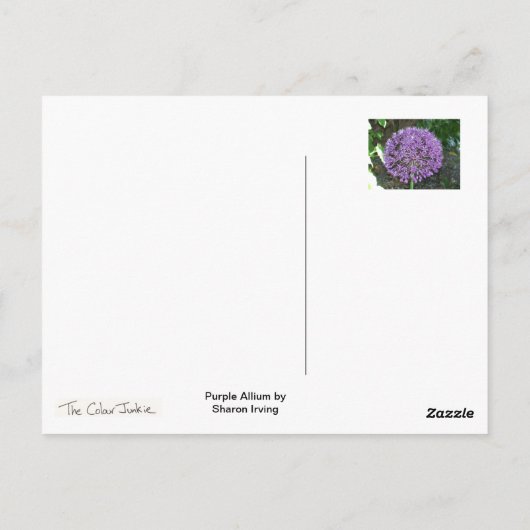 紫ネギ ポストカード (裏面)