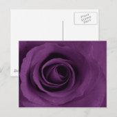 紫バラアート ポストカード (正面/裏面)
