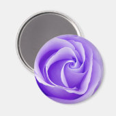 紫バラ磁石 マグネット (正面/裏面)