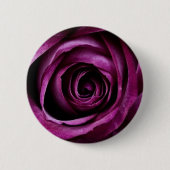 紫バラ 缶バッジ (正面)