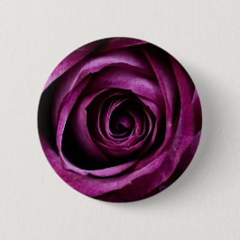 紫バラ 缶バッジ