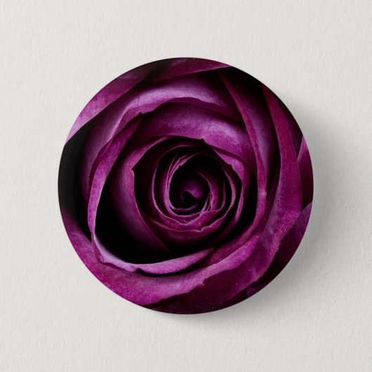 紫バラ 缶バッジ (正面)