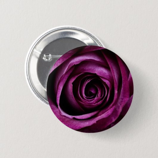 紫バラ 缶バッジ (正面&裏面)