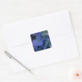 紫ピンクがかった青いアジサイの花フローラ スクエアシール (封筒)