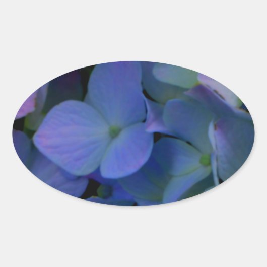 紫ピンクがかった青いアジサイの花フローラ 楕円形シール (正面)