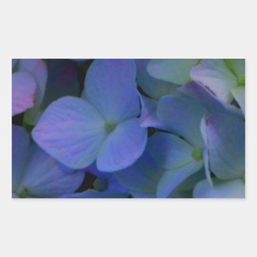 紫ピンクがかった青いアジサイの花フローラ 長方形シール (正面)