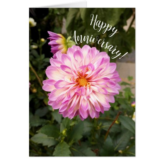 紫ファンシー白ダリア記念日カード (正面)