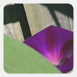 紫フローラ スクエアシール