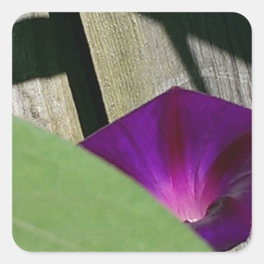 紫フローラ スクエアシール (正面)