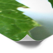 紫ブドウ ポスター (角)