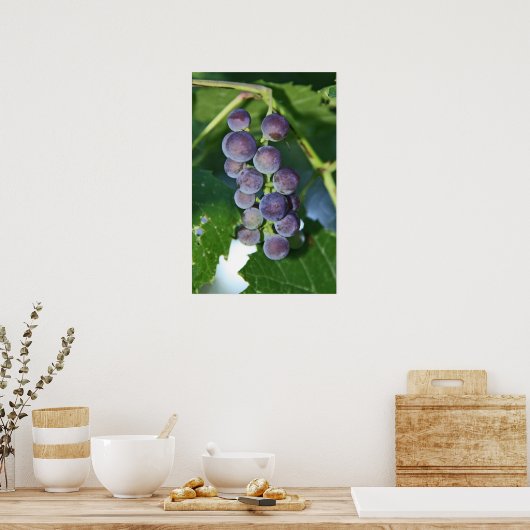 紫ブドウ ポスター (キッチン)