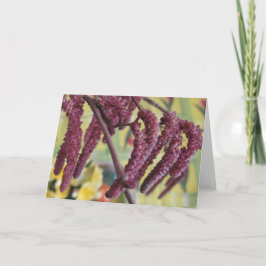 紫ヘーゼルナッツ春 シーズンカード